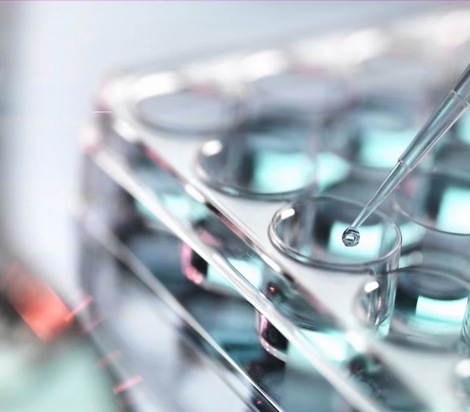 日本试管婴儿-东京生殖中心