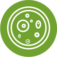 日本试管婴儿-东京生殖中心